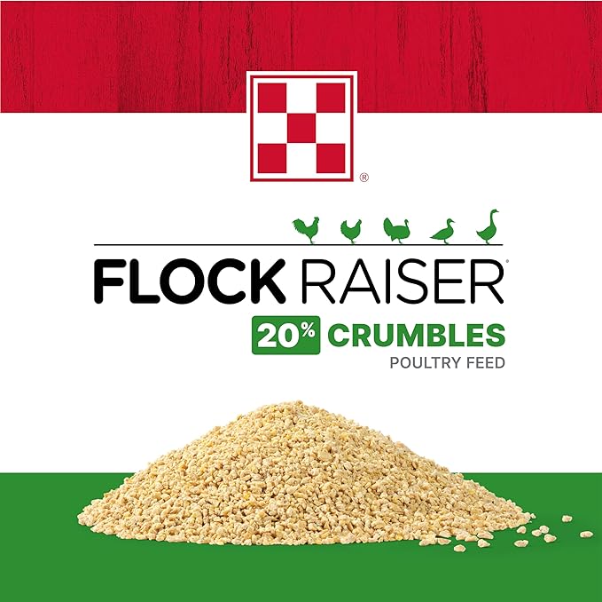 Purina | Flock Raiser Crumbles Poultry Feed | 50 Pound (50 LB) Bag