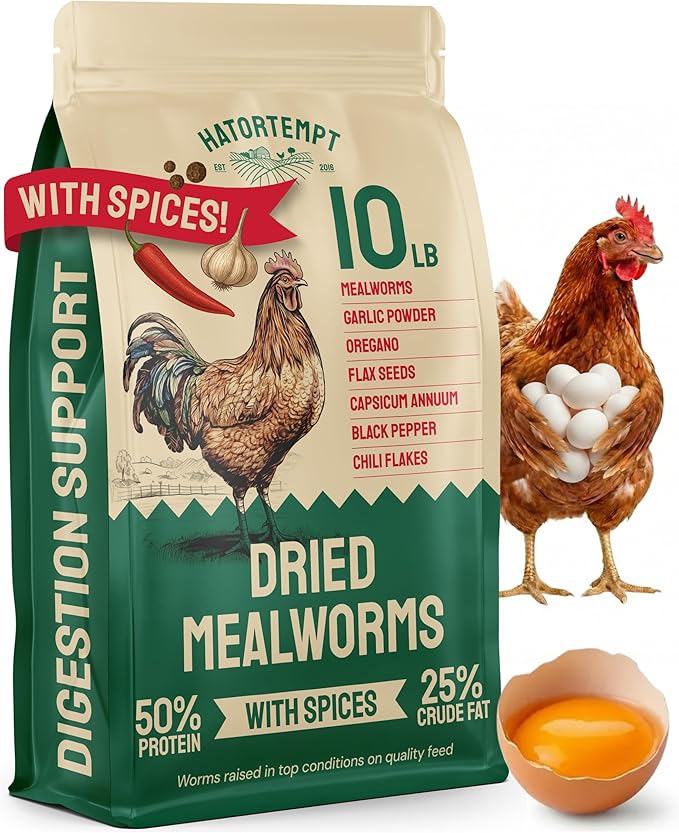 Hatortempt Spiced Bulk Dried Mealworms - 10 Lb Bag - Dried Mealworms for Chickens & Ducks - Chicken Food Coated with Chili Mix Digestion Supplement