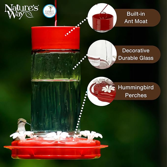 Nature's Way Hanging Glass Hummingbird Feeder for Outdoor Décor, 20 Ounce Capacity Nectar Feeder, Ant Moat, 5 Easy to Clean Flexible Ports, Red
