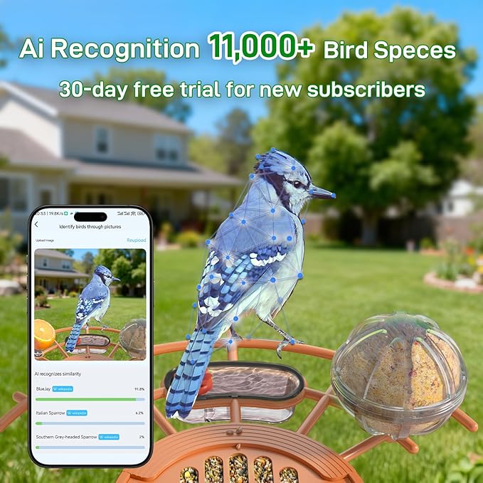 Smart Bird Feeder with Camera Solar Powered: 2K HD Video Wireless Outdoor Bird House Camera, AI Bird Species Identification & Arrival Alerts, Ideal Gift for Bird Lovers - Blue