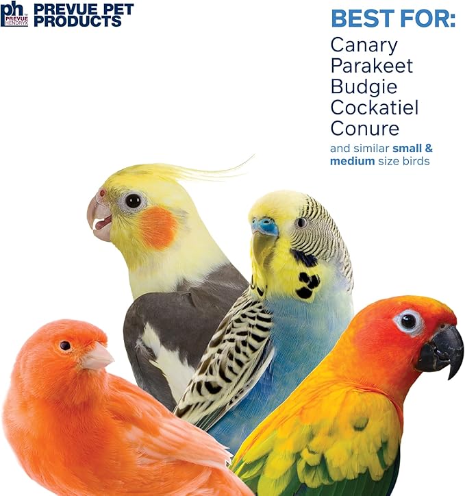 Prevue Pet Products Naturals Double Coconut Walk - Small Animal & Bird Toy, 100% Natural Coconut Hideout, Climbing Bridge & Tunnel for Guinea Pigs, Rabbits, Hamsters, Mice & Birds