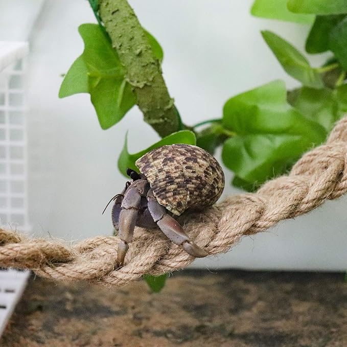 Hermit Crab Climbing Toys, Reptile Rope Ladder Supplies, Tank Aquarium Terrarium Vines Accessories, Habitat Decor for Lizards Geckos Snakes Bearded Dragon