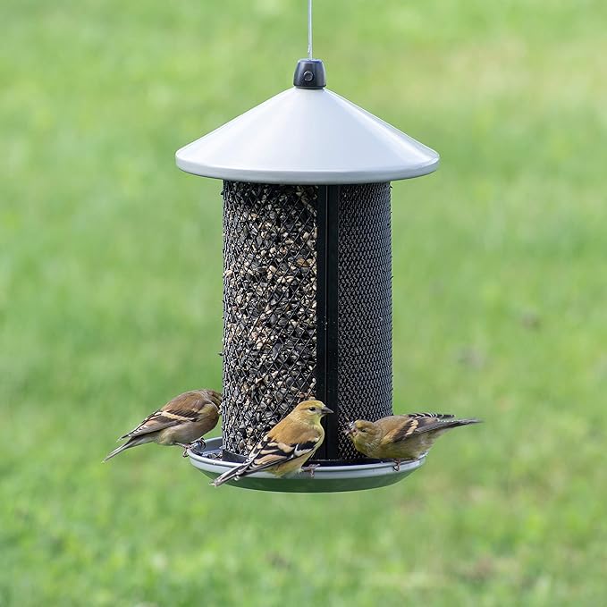 Perky-Pet Dual Mesh Wild Bird Seed Feeder - Holds up to 2.85 lb Wild Bird Seed - Dual Compartment for Seeds and Thistle - TSS00349