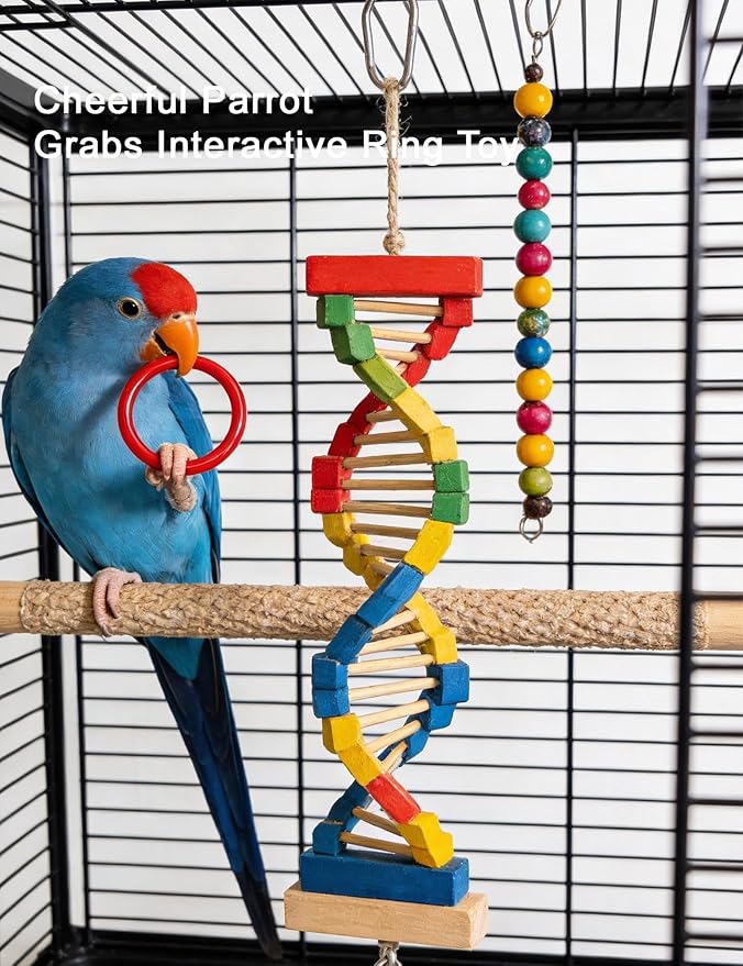 12 Pack Bird Toys Interactive Rattle Ball Toys for Small Medium Parrots Cage Entertainment