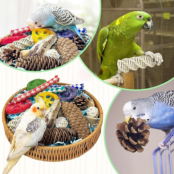 BNOSDM Rattan Bird Foraging Box 22Pcs Natural Parrot Shredding Toys Boxes Colorful Bird Chewing Toy for Cockatiel Budgie Parakeet Conure Lovebird African Grey