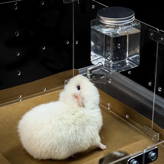 GuineaLoft™ Clear View Water Bottle - for Guinea Pigs & Birds, the Ultimate Solution by Seasoned Owners Who Tried Everything Out There