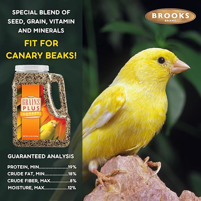 Brooks Brand Grains Plus Canary Blend, Canary Bird Food Seed, Seeds for Birds, Comida para Canarios, Alpiste para Pajaros (4.5 lbs)