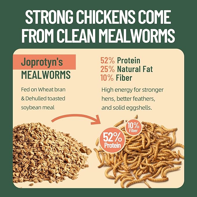30LB Premium Non-GMO Dried Mealworms - High-Protein Natural Feed & Chicken Treats for Chickens, Ducks, Wild Birds, Quails & Reptiles - Support Egg Production & Feather Growth