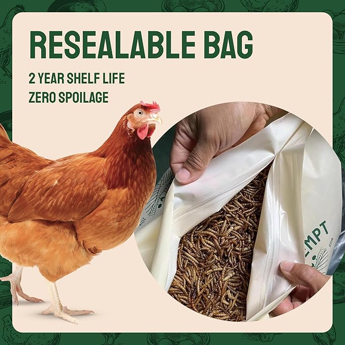 Hatortempt Bulk Dried Mealworms - 5 Lb Bag - Dried Mealworms for Chickens, Ducks & Wild Birds - High-Protein Chicken Feed & Bird Food