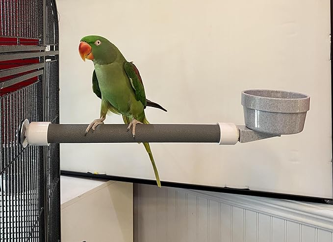 Polly's Mess Less Cups for Your Bird cage-Recommended for All Types of Birds Including Parakeets, Cockatiels, Parrots, Macaws, Cockatoos and More! (Large Long (20" x 1 3/8"))