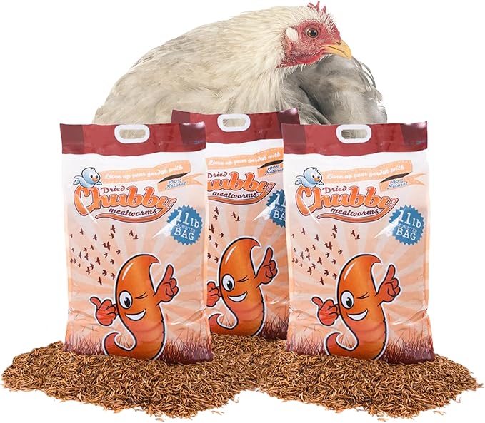Chubby Dried Mealworms | 33 lbs | High-Protein Non-GMO Treats for Chickens, Ducks, Wild Birds & Backyard Pets