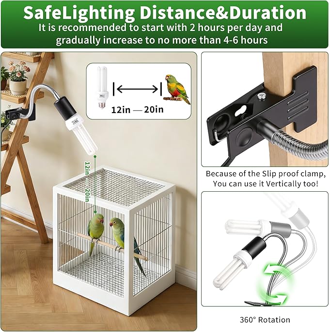 Bird Cage UVB Light Combo Kit, Avian Sun Lamp 2.4% UVB UVA 20W Compact Fluorescent Bulb for All Kinds Captive Birds, 2 Bulbs Included