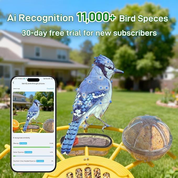 Smart Bird Feeder with Camera: Hummingbird Feeder with Solar Powered for Outdoors, Bird House with 2K HD Video & AI Bird Species Identification, Arrival Alerts, Gift for BirdLovers - Yellow