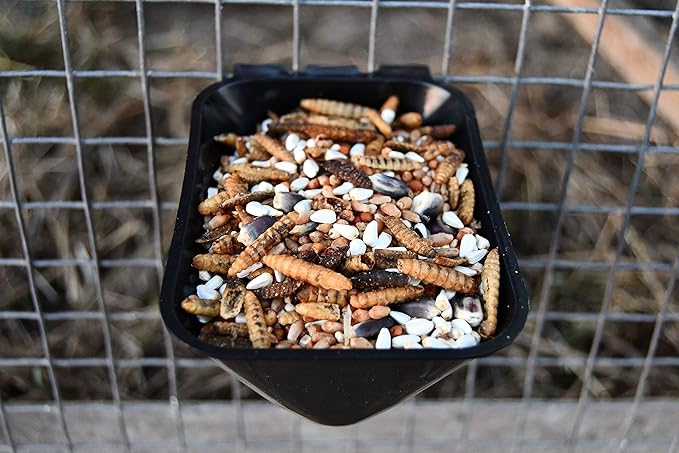 Red White and Bugs! Premium Non-GMO Black Soldier Fly Grubs, Blue Corn, Safflower Mix, Poultry Treat, USA Grown (5LB)