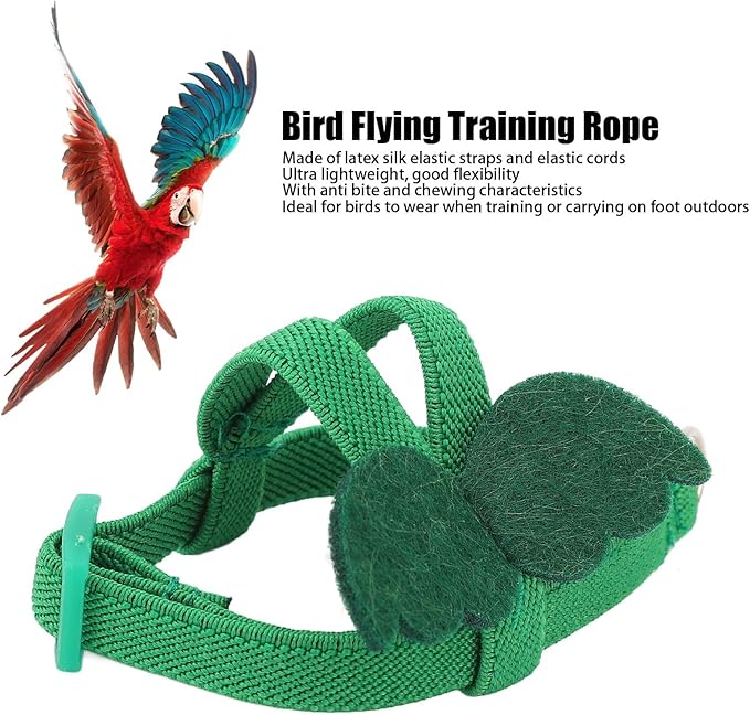 TITA-DONG Pet Parrot Bird Harness Leash, Elastic Rope with Green Adjustable Harness Cute Wing, Bird Flying Clothes with Rope Parrot Flight Suit with Leash for Parakeets Cockatiels Conures Budgies(M)