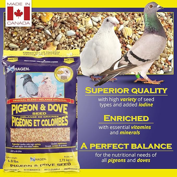 Hagen Pigeon & Dove Seed - Original Formula Bird Food, 6 lb Bag – Nutritionally Complete Seed Mix with Vitamins & Minerals – Wild & Captive Bird Diet – Insect-Resistant Air-Tight Packaging