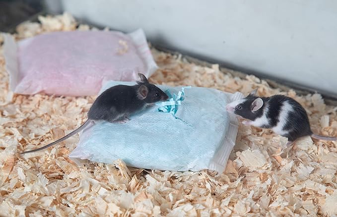 ECO BEDDING 99% Dust Free Paper Bedding for Small Pets and Birds, Eco-Nest Pack
