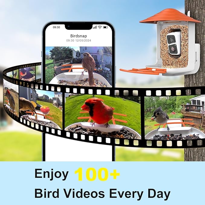 birdsnap® TUC Bird Feeder with Camera 2K HD Live with 32GB Card Auto Detect & Notify AI Identify Camera Birds Feeders Solar Powered Wireless Outdoors Backyard Gift for Mom Dad Birds Lover, 2.4G WiFi