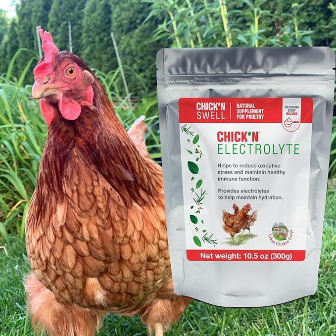 Chicken Electrolytes for Heat Stress & Dehydration – Poultry Electrolyte & Vitamin Supplement for Laying Hens and Chicks – Supports Hydration & Recovery – 10.5 oz, from Chick’N Swell.