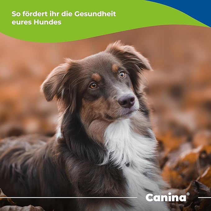 Canina Barfer's Best - Powder - 2kg