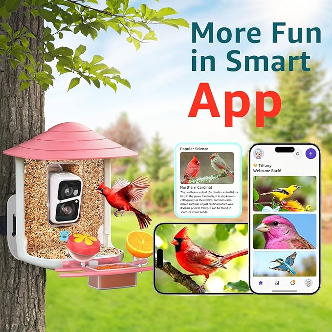 birdsnap® TUC Bird Feeder with Camera 2K HD Live with 32GB Card Auto Detect & Notify AI Identify Camera Birds Feeders Solar Powered Wireless Outdoors Backyard Gift for Mom Dad Birds Lover, 2.4G WiFi