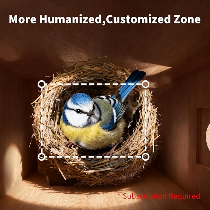Bird Houses for Outside with Camera Solar Powered: 2K HD Video Smart Bird Feeder for Outdoors Nesting Box with Motion Detection Weatherproof Easy Birdwatching for for BirdLovers