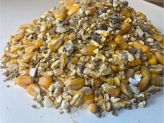Wild Turkey Scratch Feed Supplement - All Natural Vitamin Fortified w/Oyster Shell Calcium - Game Bird Attractant