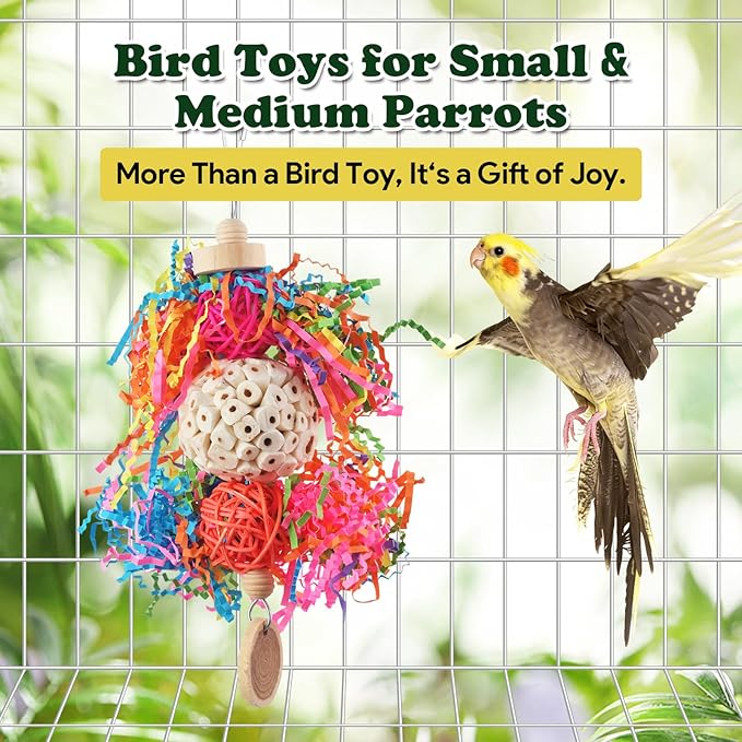 Bird Toys, Parakeet Foraging Toy, Hanging Chewing Toy, Bird Cage Accessories – Suitable for Cockatiels, Budgies, Lovebirds, Conures and Other Small Parrots