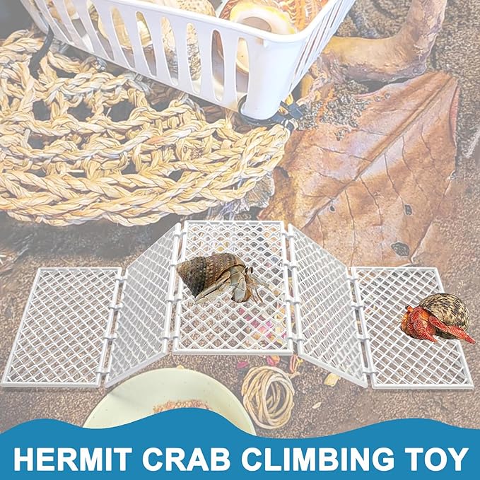 Hermit Crab Climbing Toys | 5 Pcs DIY Mesh Hermit Crab Ladder | Hermit Crab Tank Enrichment Decor | Hermit Crabs Decoration Accessories Supplies Toys Ornaments