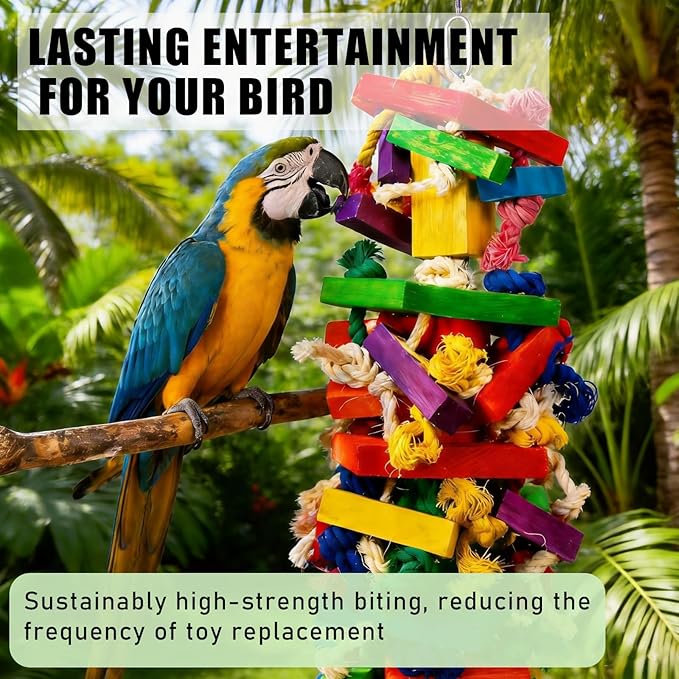 Parrot Toys for Large Birds, Natural Wood Multicolor Durable Chew Toys for Macaws, African Grey & Amazon Parrots, Ideal Pet Gift