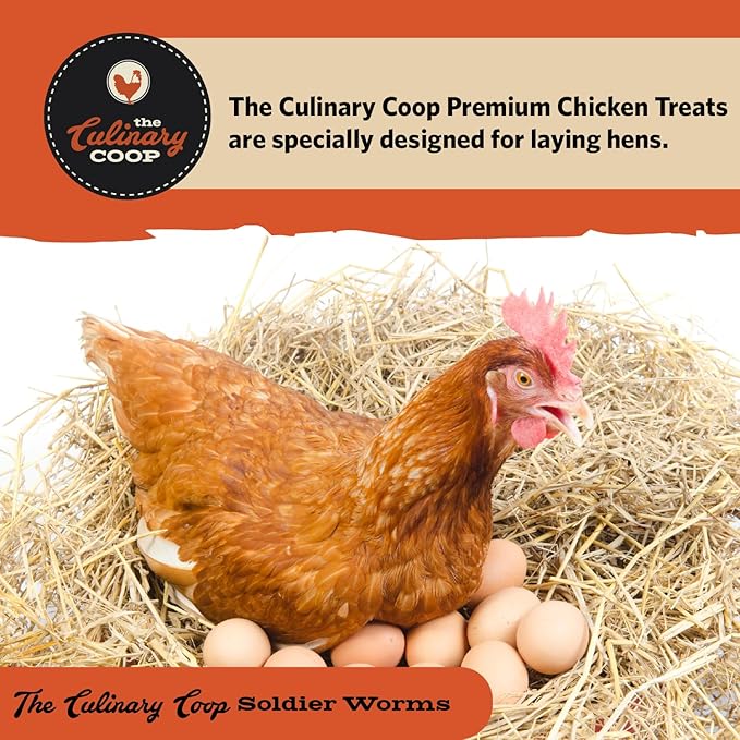 Fluker's Culinary Coop Bulk Dried Soldierworms, Premium Organic Dried Soldierworms for Chickens-High Protein & Omega3 Chicken Feed for Wild Birds, Reptile,& Chicken Treats for Laying Hens, 5lbs