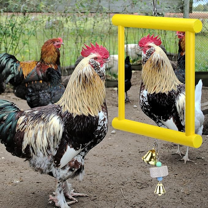 1 Pieces Chicken Mirror Toys Large 12 x 10 Inch Hanging Swing Mirror with Bell Wooden Pecking Toy and 2 Pieces Beak Grinding Molar Stones for Hens Birds Parrots Coop Roosters(Yellow)