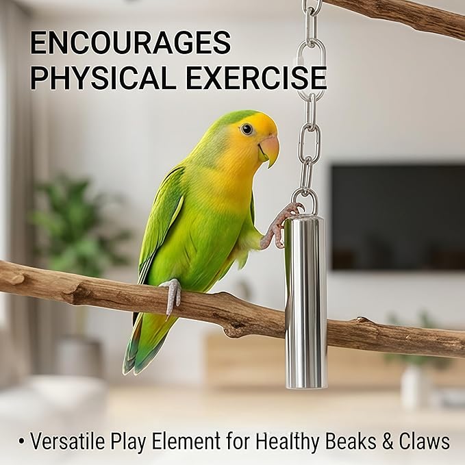 Stainless Steel Bird Bells 2-Pack Durable Hanging Bird Toy for Cage, Interactive Budgie Toys for Parakeet & Cockatiel