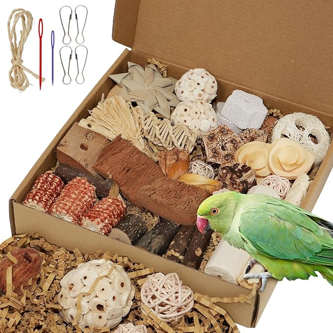 Bird Toys Parrot Natural Foraging Box Parakeet Toys DIY Hanging String for Cockatiels,Conures,Love Birds,and Other Small to Medium Birds Cage Accessories (Large)