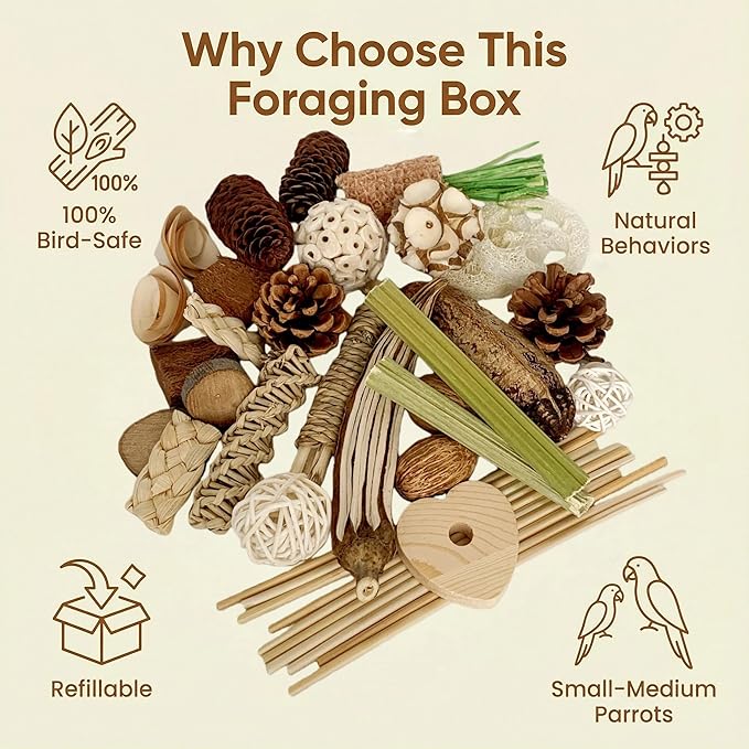 40PCS Natural Foraging & Chew Parrot Toy,Shredding Box for Parakeets, Cockatiels, Conures & Lovebirds and Other Small to Medium Birds (Large)