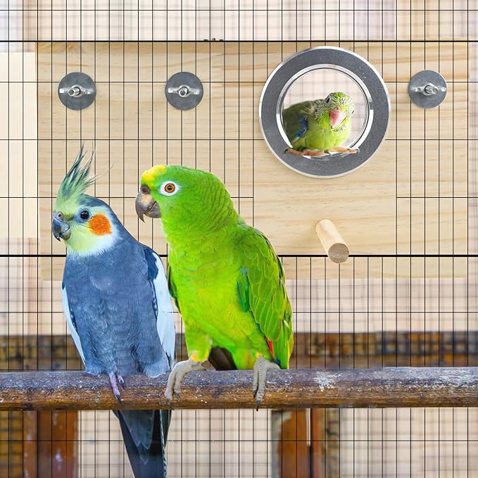Parakeet Nesting Box Cockatiel Nesting Natural Pine Bird Nest Bird Breeding Box House Acrylic Transparent Bird Box with Detachable Wooden Board for Lovebirds Cockatiel Budgie Conure Parrot XL