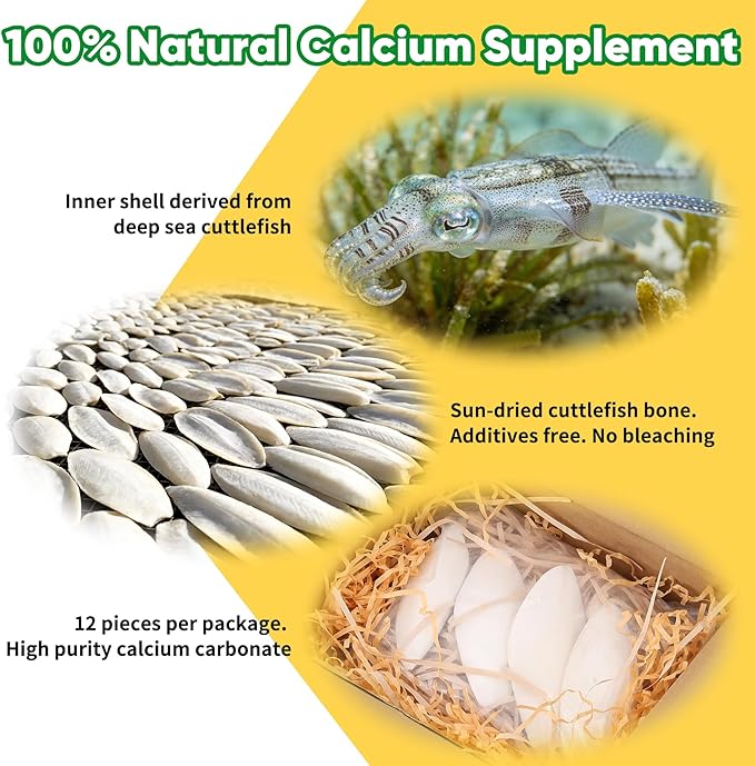 Amzey 12 Pack Cuttlebone for Birds, 4-6 Inches Sun-Dried 100% Natural Calcium Supplement, 100% Pure Cuttlefish Bone for Beak Trimming, Supports Healthy Bones, Feathers & Shells