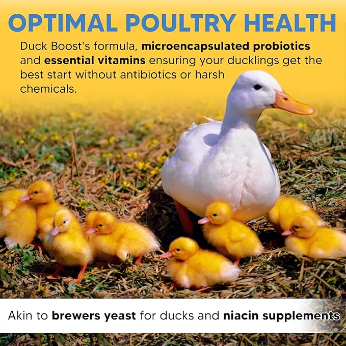 Duck Boost Probiotic - Probiotics, Vitamins, Minerals and Electrolytes for Chickens | Duck Vitamins and Supplements for All Poultry - 8oz