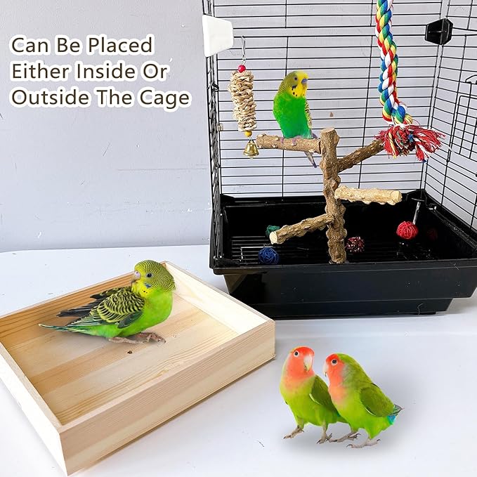 Hamiledyi Bird Perch Stand Playground Parrot Playground Tabletop Natural Wooden Perch PlayStand Platform Toys for Parrots Parakeets Lovebirds Canaries Cockatiels Conure
