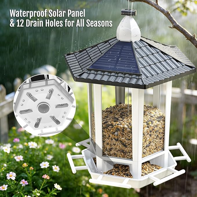Birdream Solar Bird Feeders for Outdoors Hanging, Assembly Required, 1-Min Easy Setup, Wild Seed Feeders for Cardinals Chickadees and Finches