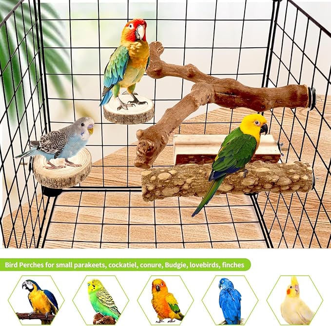 8PCS Natural Grape Wood Bird Perch Set - Parrot Cage Stand with Paw Grinding Forks, Chewing Sticks & Exercise Branches for Parakeets, Cockatiels, Conures, Budgies, Finches