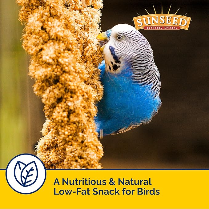 Sunseed Golden Spray Millet Treat for Birds, 21 oz