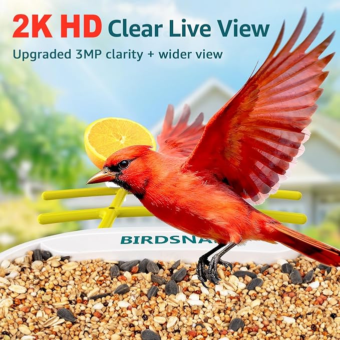 birdsnap® TUC Bird Feeder with Camera 2K HD Live with 32GB Card Auto Detect & Notify AI Identify Camera Birds Feeders Solar Powered Wireless Outdoors Backyard Gift for Mom Dad Birds Lover, 2.4G WiFi