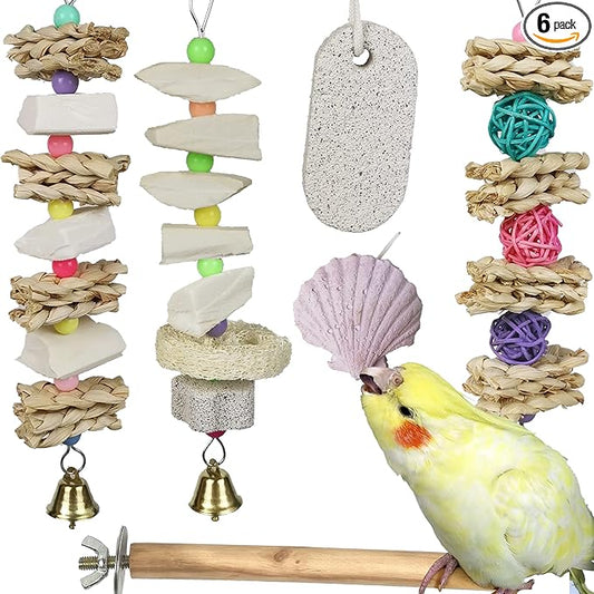 Parrot Chewing Toys (6 pcs) Natural Cuttlebone Bird Beak Trimmer Grinding Stone Lava Block Calcium Stone Bird Perch Cage Toys for Small and Medium Parakeets, Cockatiels, Conures, Budgies, Lovebirds
