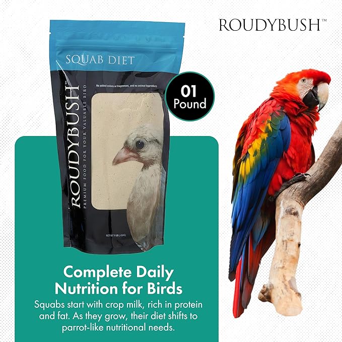 RoudyBush Squab Diet for Doves & Pigeons, Daily Food for Baby Birds, Crop Milk Replacement Formula for Baby Doves & Pigeons, Formulated Nutrition for Days 7-14, Hand Feeding Mix for Squabs, 1 Pound