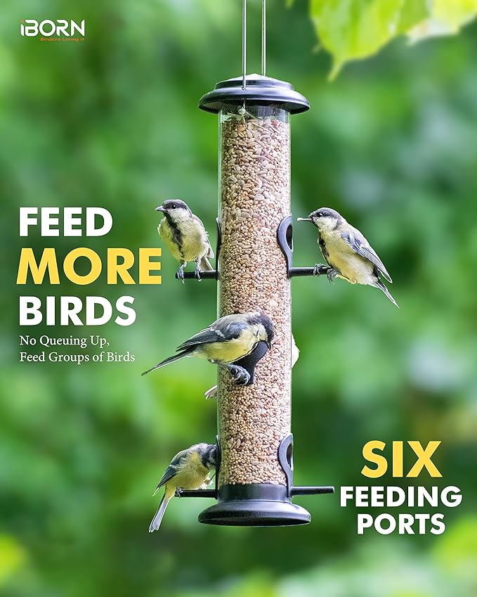 iBorn Metal Bird Feeders Black Wild Bird Feeder for Outdoors Hanging All Metal Black Finishing 15 Inch 6 Port(Seed is not Included)