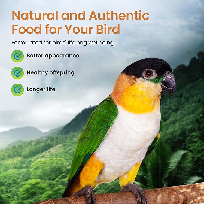 Harrison's Bird Foods High Potency Fine - Certified Organic, Non GMO Formula for Small to Medium Birds - Human Grade Pellets for Molting, Recovering & Weaning Chicks with Balanced Nutrition (1lb)