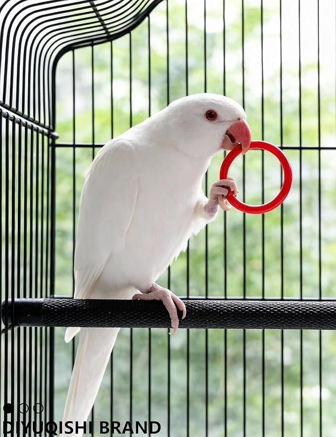 11 Pcs Bird Toys for Parakeets - Natural Cuttlefish Bone Calcium Chew Toys with Bells for Budgies, Lovebirds & Small Birds