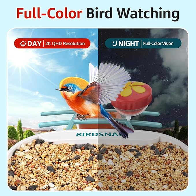 birdsnap® TUC Bird Feeder with Camera 2K HD Live with 32GB Card Auto Detect & Notify AI Identify Camera Birds Feeders Solar Powered Wireless Outdoors Backyard Gift for Mom Dad Birds Lover, 2.4G WiFi
