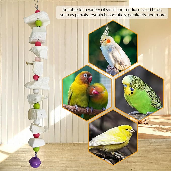 PINVNBY 2 Pack Bird Toys with Cuttlebone Calcium Parakeet Chewing Toy Hanging Bird Beak Grinding Stone Cage Accessories for Parrot Budgie Lovebird Cockatiel (Small)